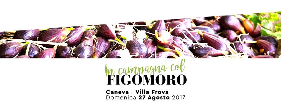 FigoMoro da Caneva