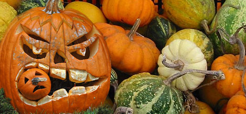 Ricette senza lattosio con la zucca