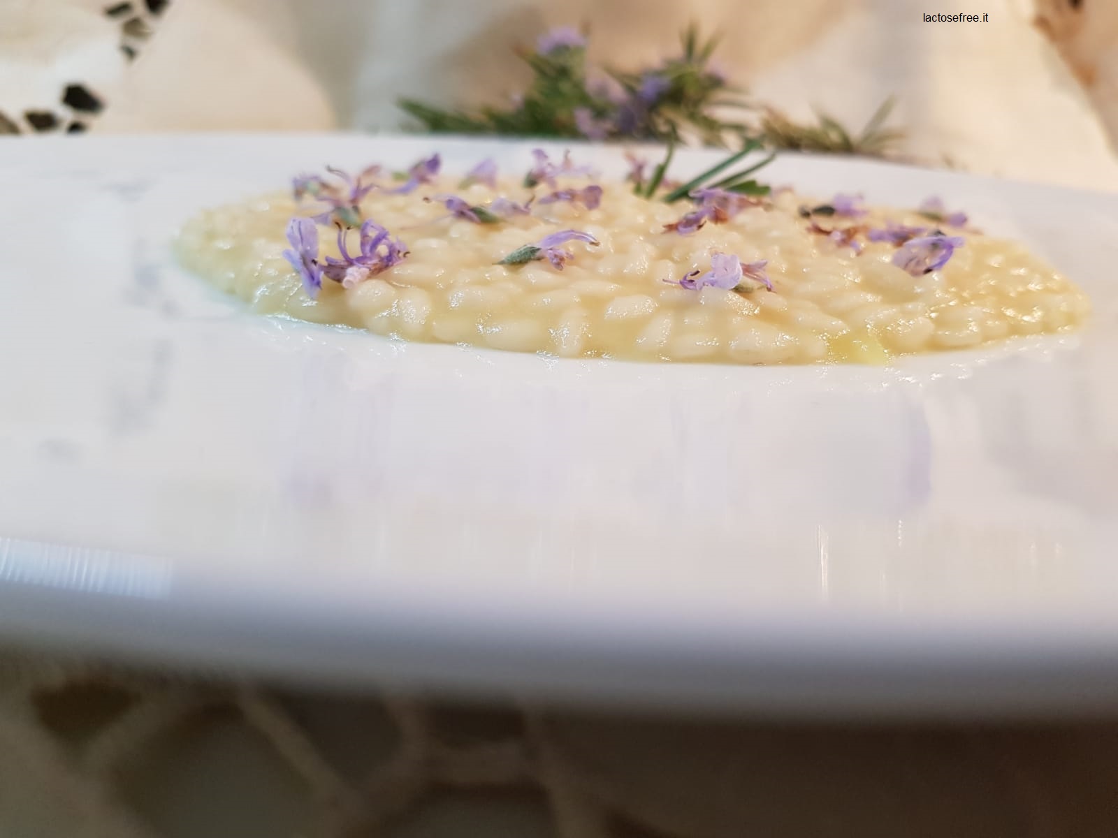 risotto al rismarino