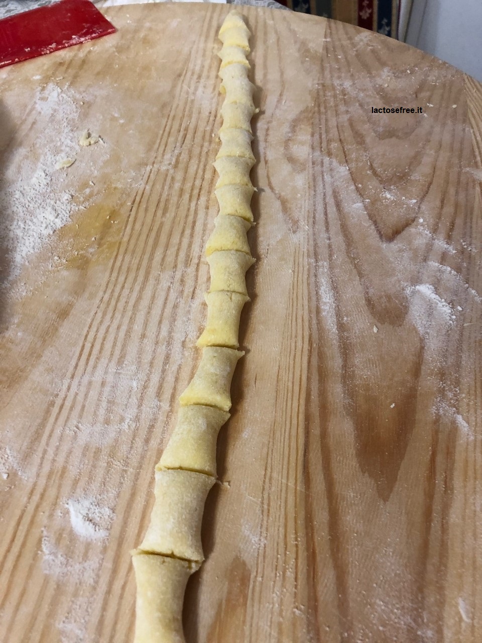 gnocchi al ragu senza lattosio 24