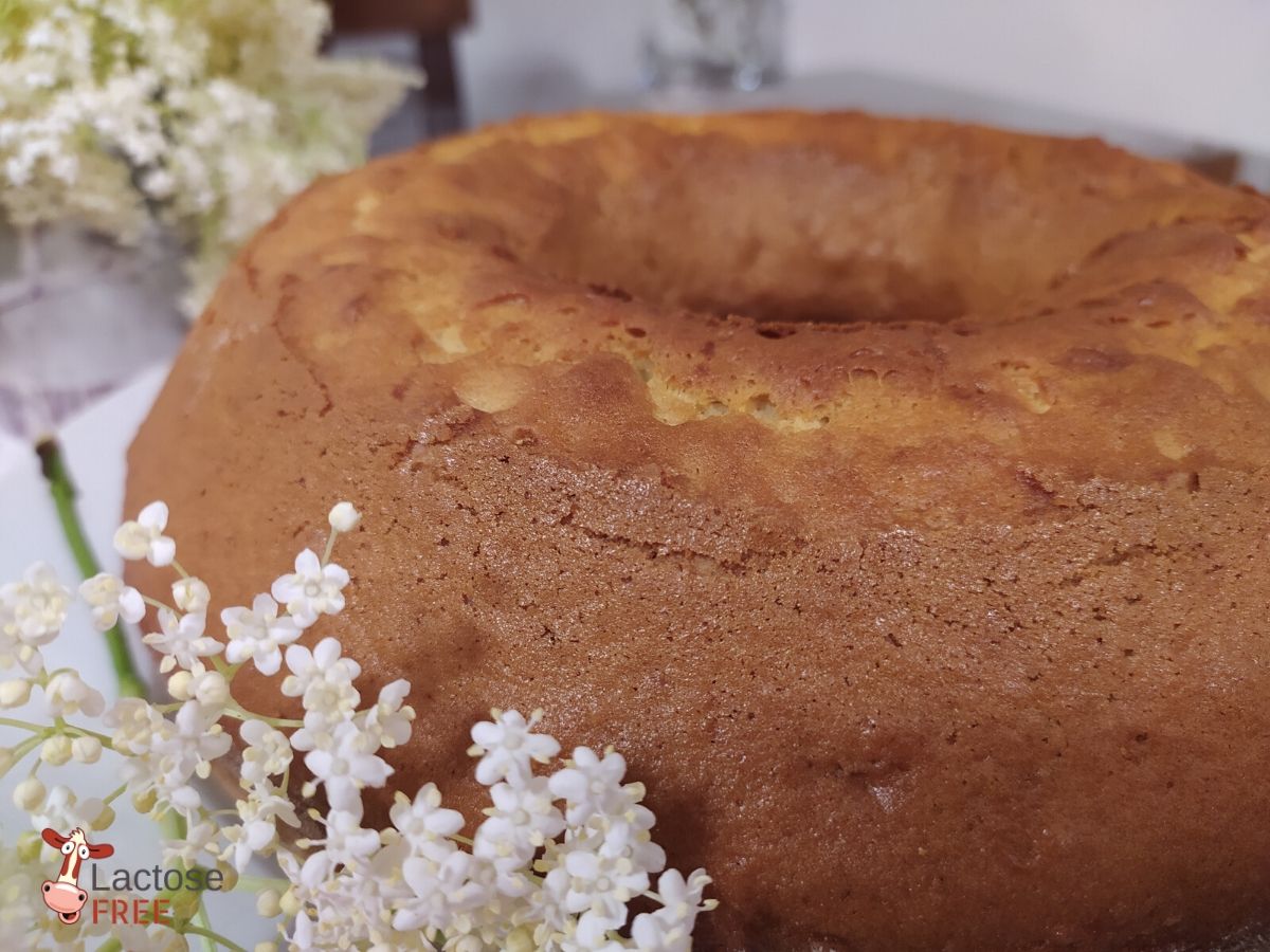 Torta ai fiori di sambuco senza lattosio